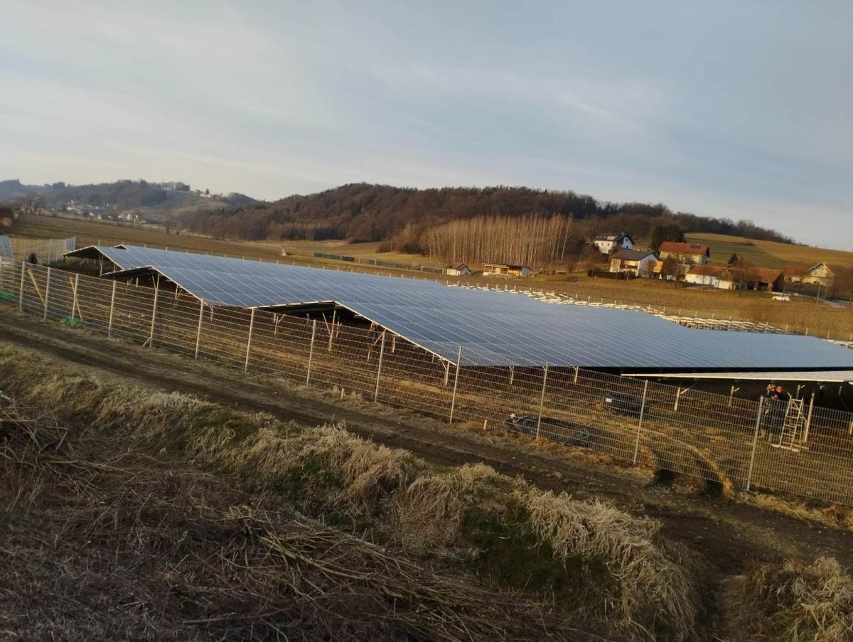 Solarpark mit Ost-West-Austrichtung in Hohenbrugg
